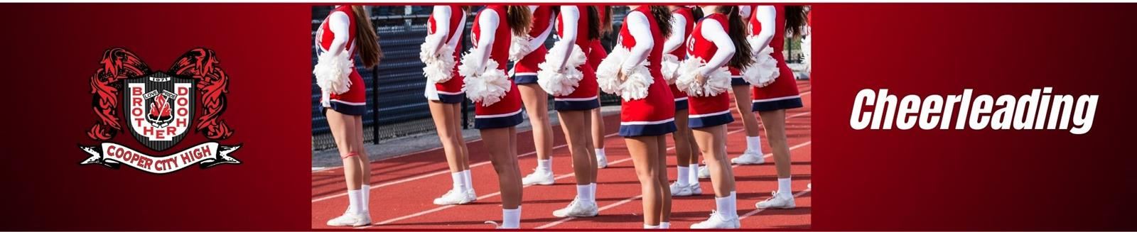 Cheer Banner